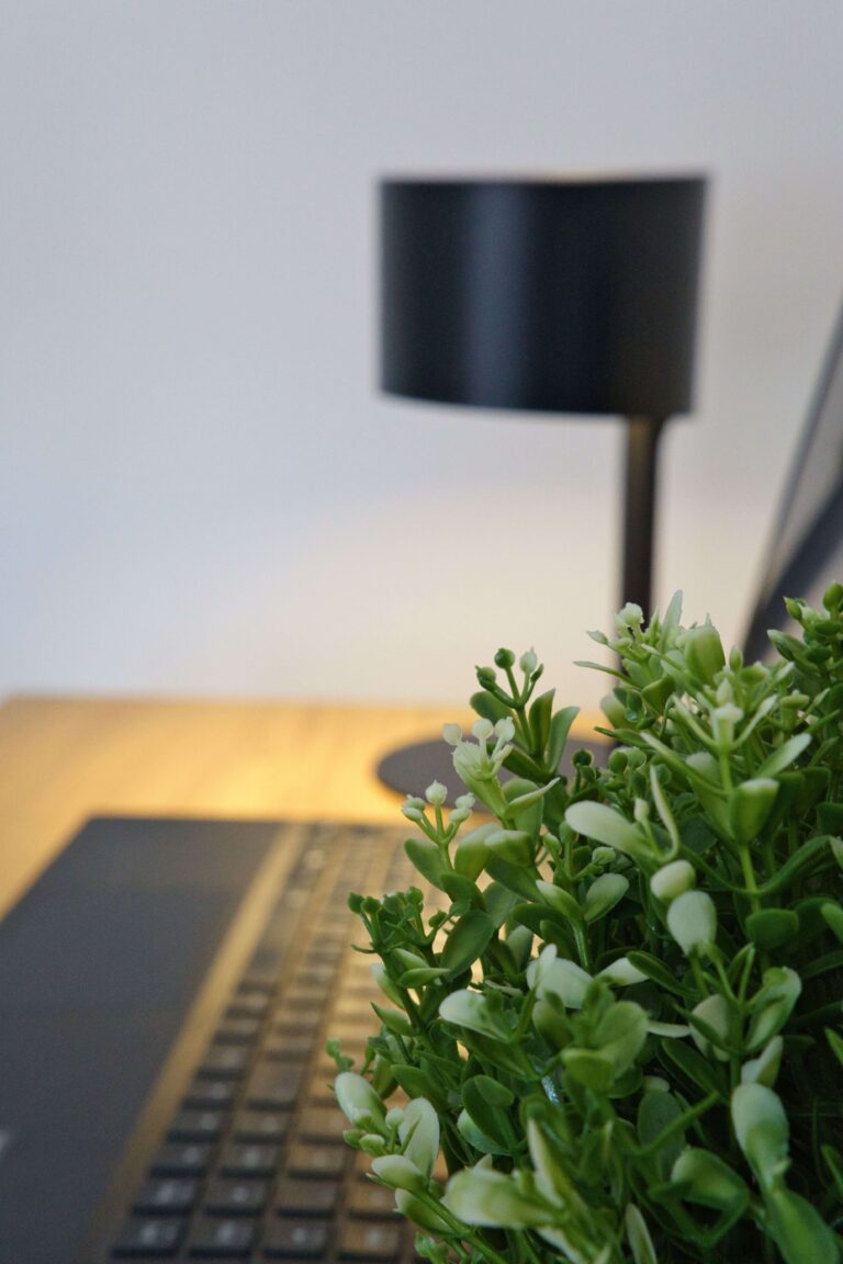 Wohnzimmer Schreibtisch Laptop